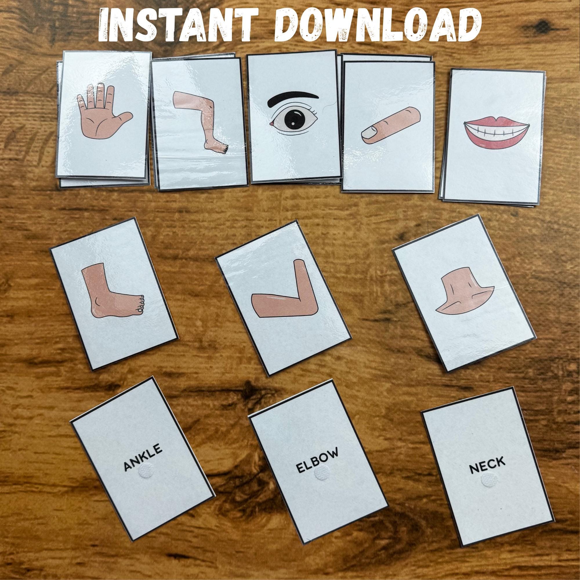 Human Body Parts Flashcards for Kids, Toddler Anatomy Learning, ESL ...