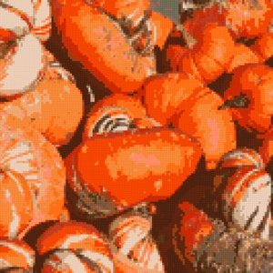 May include: A close-up of a pile of orange pumpkins with white stripes. Some of the pumpkins are smooth and others have a textured surface.