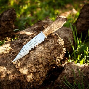 May include: A hunting knife with a silver blade and a wooden handle. The blade has a serrated edge and etched text. The handle is made of antler. The knife rests on a piece of wood, with green grass in the background.