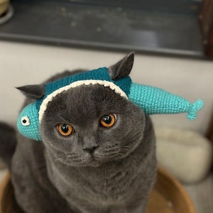 May include: A gray cat with orange eyes wearing a handmade crochet hat shaped like a fish. The hat is teal and white, with the fish extending over the cat's ears. The cat is sitting in a wooden bowl.