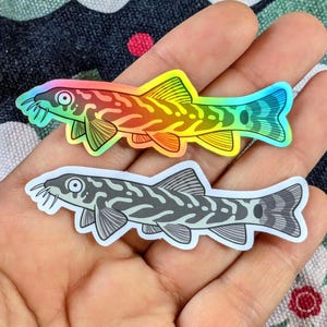 Zodiac Loach Vinyl Sticker: Waterproof Aquarium Fish Art