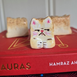 Könnte beinhalten: Handbemalte, hellbraune Katzenfigur mit rosa Akzenten und einem grimmigen Gesichtsausdruck. Die Katze befindet sich auf einem roten Buch mit goldfarbenen Buchstaben. Zwei ähnliche, kleinere hellbraune Blöcke befinden sich im Hintergrund.