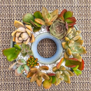 Donut Succulent Planter