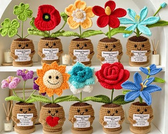 Handmade Crochet Emotional Support Plant, Positive Affirmation Amigurumi Flower Pot,Cute Desk Decor,Encouragement Gift,Mental Health Support
