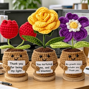 Handmade Crochet Flower Pot, Custom Text Emotional Support Plant, Teacher Thank You Gift, Forever Bloom Tulip Rose Cosmos Desk Decor