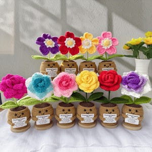 Könnte beinhalten: Eine Sammlung bunter Häkelflora in kleinen braunen Töpfen. Jede Blume hat eine andere Farbe, darunter Lila, Rot, Gelb, Rosa und Blau. Die Töpfe haben lächelnde Gesichter und tragen Schilder mit der Aufschrift "Emotional Support Plant".