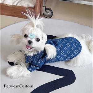 Summer Lightweight Denim Shirt for Dogs & Cats, Breathable Pet Button-Up Clothing, Chic Pet Summer Shirt, Button Shirt for kitten/Puppy