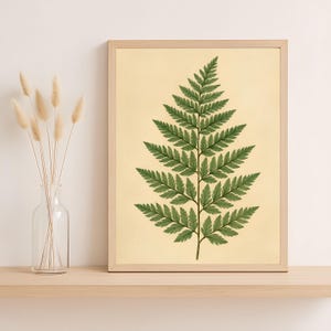 Fern Leaf Botanical Print – Vintage Green Plant Wall Art, Digital Natural History Illustration, Herbarium Style PNG Download