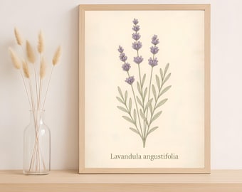 Vintage Lavender Botanical Print – Farmhouse Herbal Wall Decor (Digital Download)