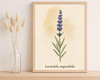 Lavender Botanical Print – Vintage Style Herb Art (Digital PNG Download)