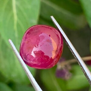Könnte beinhalten: Ein polierter, kissenförmiger Rubin-Edelstein mit einem tiefroten Farbton und einer glatten, reflektierenden Oberfläche. Der Edelstein wird von einer silberfarbenen Metallpinzette gehalten, die seine leuchtende Farbe und Transparenz zeigt.
