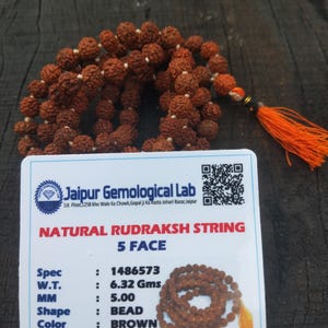 May include: A natural Rudraksh string with 5 faces, featuring brown beads. The string includes a tassel with orange threads. The accompanying card from Jaipur Gemological Lab details the specifications, including the weight of 6.32 grams and bead size of 5.00 mm.