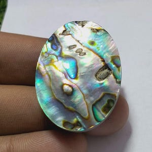 Könnte beinhalten: Eine ovale Abalone-Schale mit schillernden Farben von Blau, Grün und Gold. Die polierte Oberfläche reflektiert das Licht und zeigt die natürlichen Muster und Texturen der Schale. Die Schale hat eine glatte, glänzende Oberfläche.