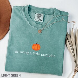 Comfort Colors® Growing a Little Pumpkin Shirt, Fall Pregnancy Announcement Tee, Fall Baby Shower Shirt, Mom to Be Gift, Thanksgiving Gift