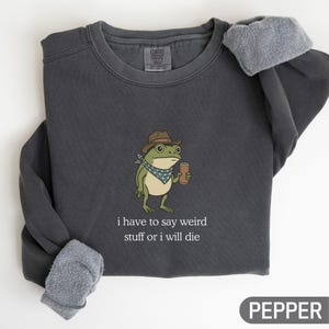 Puede incluir: Sudadera gris oscuro con una rana de dibujos animados con sombrero de vaquero y una lata. La rana tiene un pañuelo azul. El texto "i have to say weird stuff or i will die" está impreso debajo.