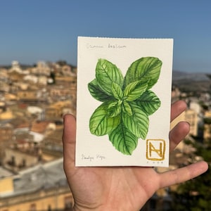 Basilicò - Originale Malerei • Handgemacht • Botanische Kunst