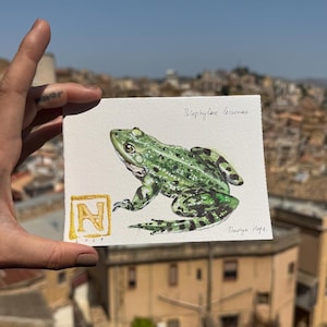 Ranocchia • Dipinto originale • Fatto a mano • Arte della fauna selvatica