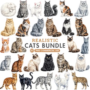 Könnte beinhalten: Eine digitale Sammlung von 57 realistischen Katzenillustrationen mit verschiedenen Rassen und Fellmustern, darunter getigerte, dreifarbige, einfarbige und gefleckte Designs. Der zentrale Text lautet REALISTIC CATS BUNDLE 57 PNG COMMERCIAL USE.