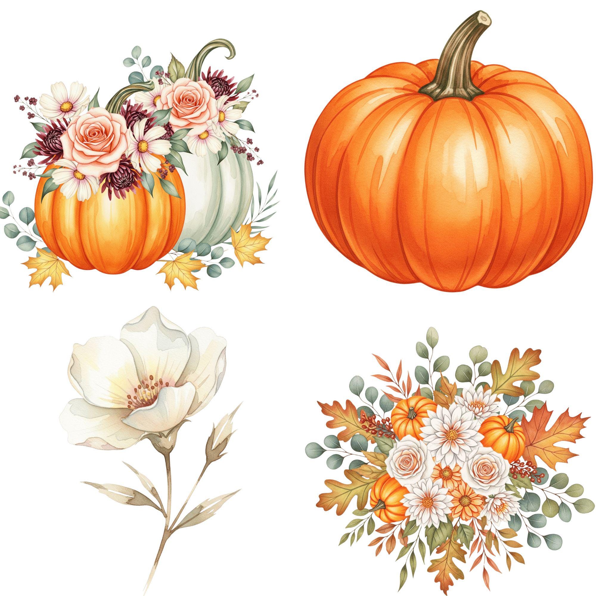 Watercolor Fall Pumpkin Clipart, Floral Autumn, Watercolor Pumpkin PNG ...