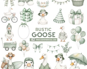 Fånig gås Clipart, akvarell rustik gås Clipart, söt babyshower Png, Cottagecore barnrumsdekor, nyckfull födelsedag, kommersiellt bruk
