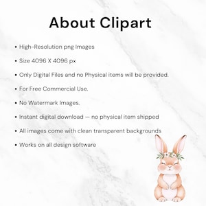 Hand-painted watercolor baby bunny sitting with floral accents, great for boho nursery decor and sublimation projects.