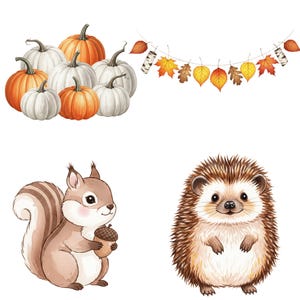 Fall Scenery Clipart set with watercolor pumpkins, autumn flowers, and cozy elements for digital projects.
