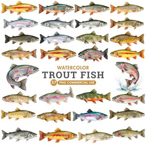 Peut inclure: Une collection de trente-sept illustrations à l'aquarelle de diverses espèces de truites, présentant des motifs, des écailles et des couleurs variés, avec le texte WATERCOLOR TROUT FISH 37 PNG COMMERCIAL USE centré au milieu de l'image.