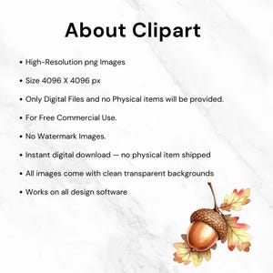 Autumn Clipart bundle with hand-painted watercolor pumpkins, cozy flowers, and Thanksgiving-themed decorations.
