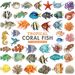 May include: Watercolor illustration of various tropical coral fish, starfish, and other sea creatures. The image includes a variety of colorful fish, coral, and other marine life. Text reads "TROPICAL CORAL FISH" and "71 PNG COMMERCIAL USE."