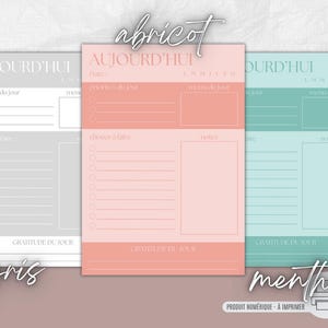 May include: Three printable daily planner sheets in gray, apricot, and mint colors. Each sheet has sections for the date, priorities, menu, to-do list, notes, and gratitude. The word "abricot" is written at the top.