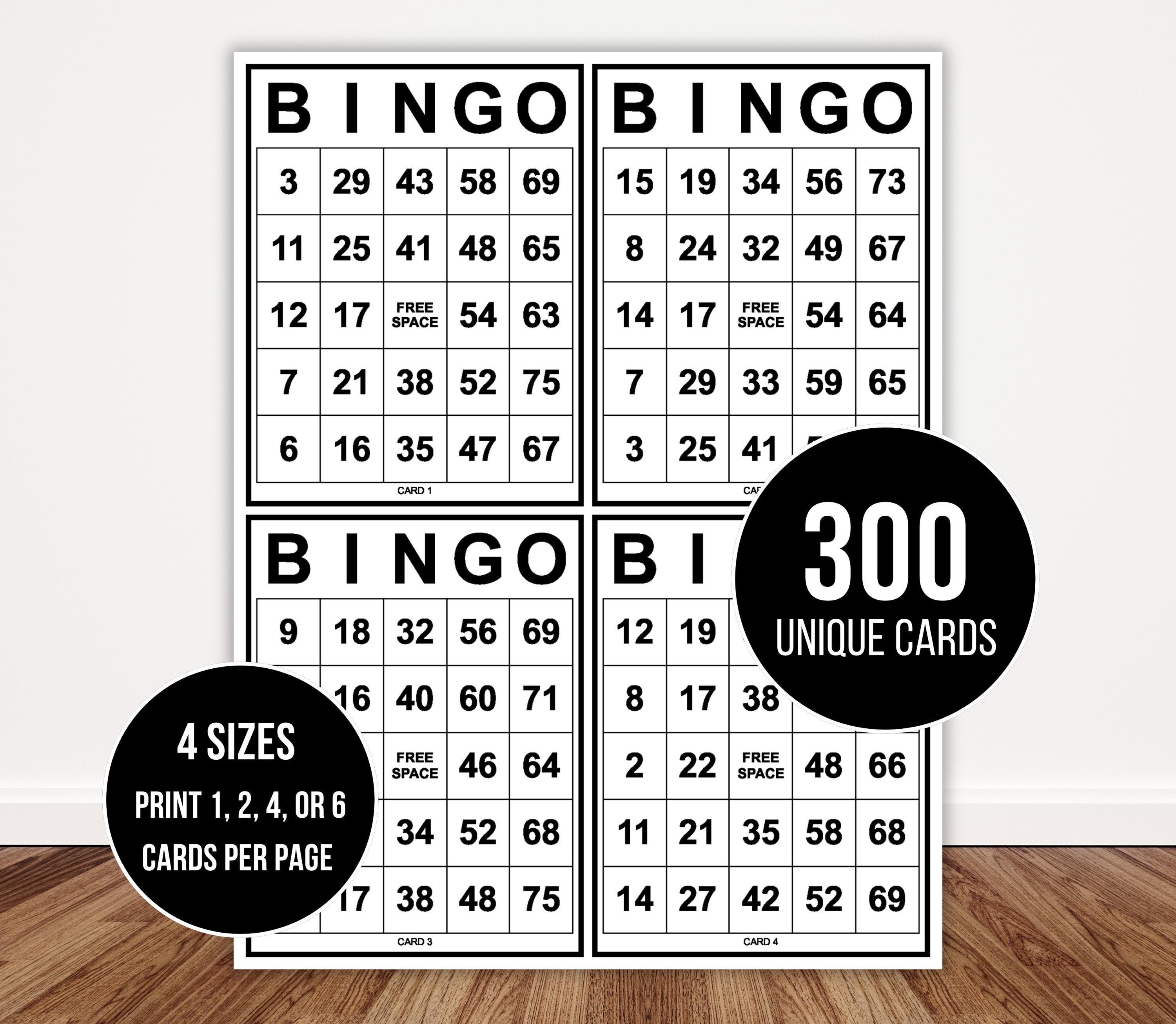Jeu Familial Fête 1 Ou 2 Jeux De Famille Traditionnels De 90 Boules De Bingo Lotto Jeu De Bingo