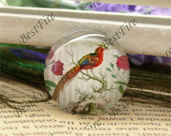 Bird Print Round Glass Cabochons, Jewelry Making (10mm-30mm)