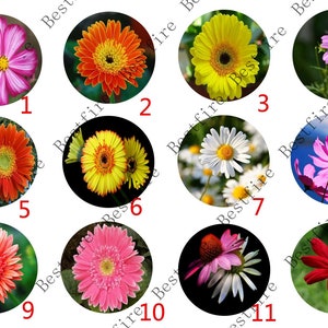 10mm,12mm,14mm,16mm,18mm,20mm,25mm,30mm Flower leaf Round photo Glass Cabochon,round Cabochon finding beads,Photo Glass Cabochons