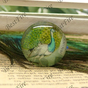 10mm,12mm,14mm,16mm,18mm,20mm,25mm,30mm Round Glass Cabochons peafowl flower,jewelry Cabochons finding beads,Glass Cabochons