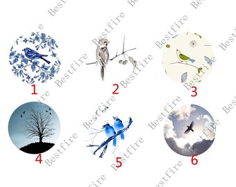 Birds Photo Glass Cabochons, Round Finding Beads (10mm-30mm)