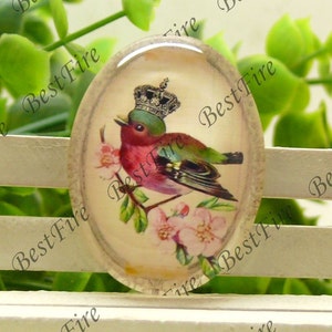 10x14mm, 13x18mm, 18x25mm, 20x30mm, 30x40mm Oval vidrio cabujones historieta flor, joyas Cabochons encontrar perlas, Cabujones de aves--10