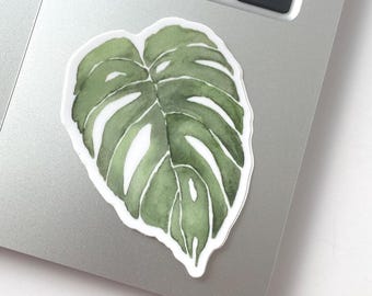 Monstera leaf watercolor vinyl sticker | green spring botanical nature | gift for plant lover
