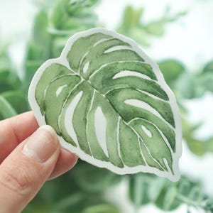 Watercolor monstera leaf sticker - vinyl matte 3in waterproof - for water bottle, laptop, planner, notebook, phone case - nature plant gift