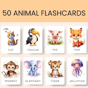 100 Animal Flash Cards, Printable Flashcards, Preschool Flashcards, Toddler Flashcards, Baby Flashcards, Animal Cards Set, Flashcards PDF