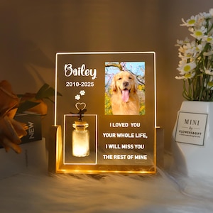 Könnte beinhalten: Beleuchtete Gedenktafel mit einem Foto eines Golden Retrievers, dem Namen "Bailey" und den Daten 2010-2025. Enthält ein kleines Glas und den Text "I LOVED YOU, YOUR WHOLE LIFE, I WILL MISS YOU, THE REST OF MINE."