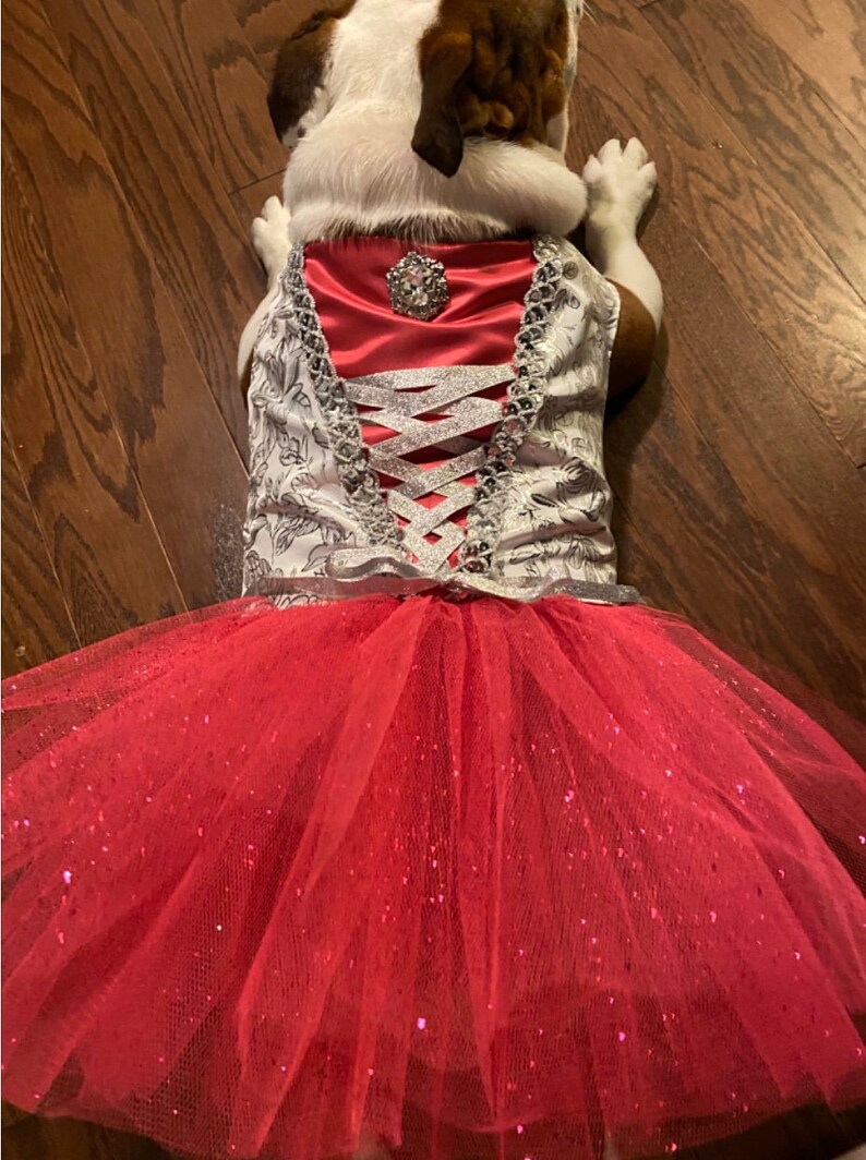 tutu attire