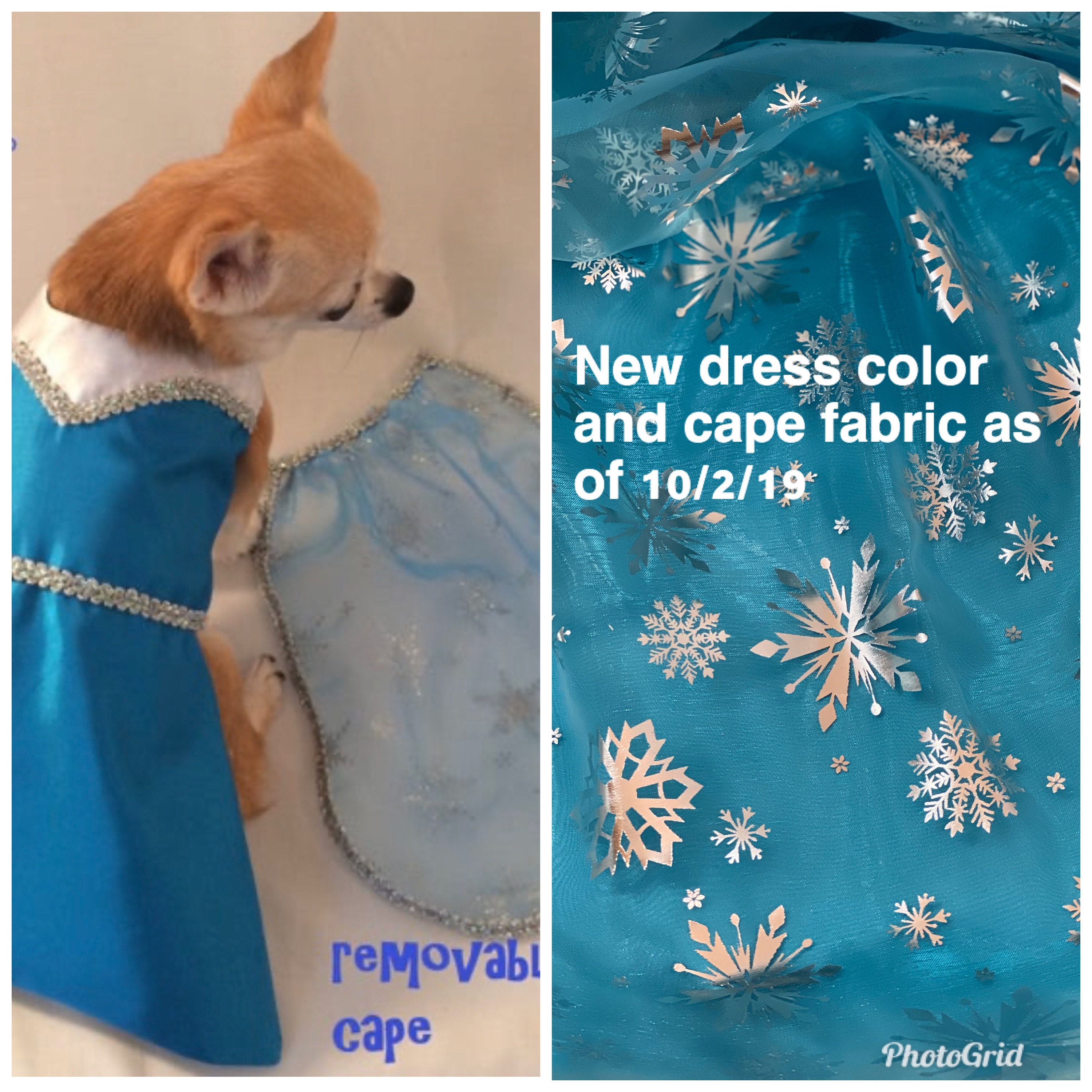 elsa dog costume