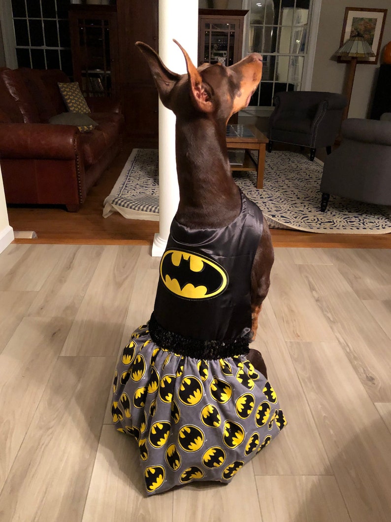 Batgirl dog dress dog costume Etsy