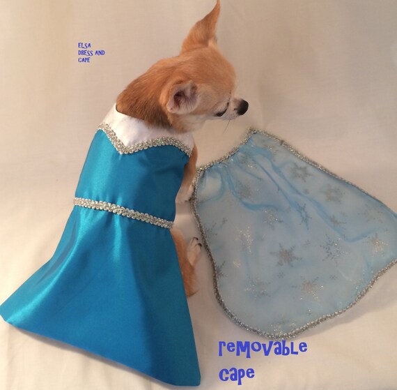 frozen dog costume frozen dog costume