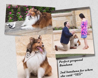 The Perfect Proposal Bandana, Wedding bandana, pet bandana, dog bandanna