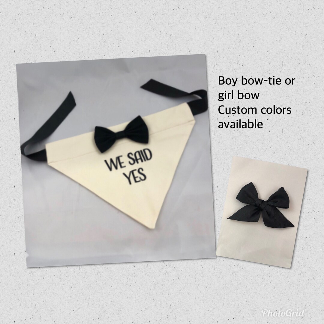 Dog Wedding Bandana Wedding Proposal Bandana Groom Dog Etsy