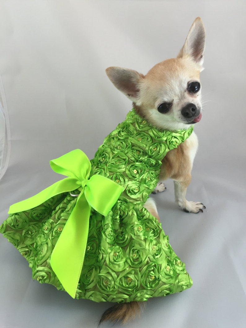 Lime green dog dress wedding dog dress custom dog dress Etsy