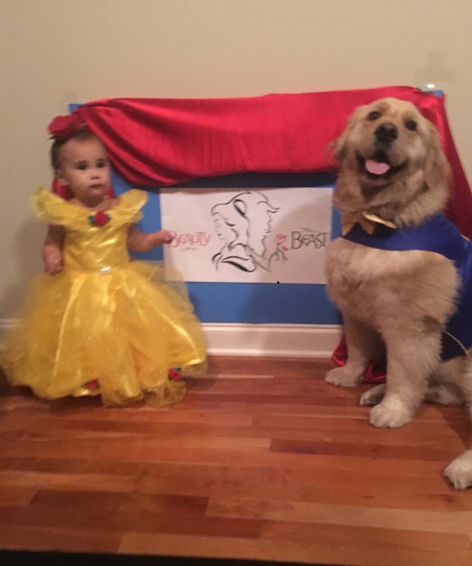 Beast Halloween Dog Costume the Beast Dog Costume Inspired by Etsy