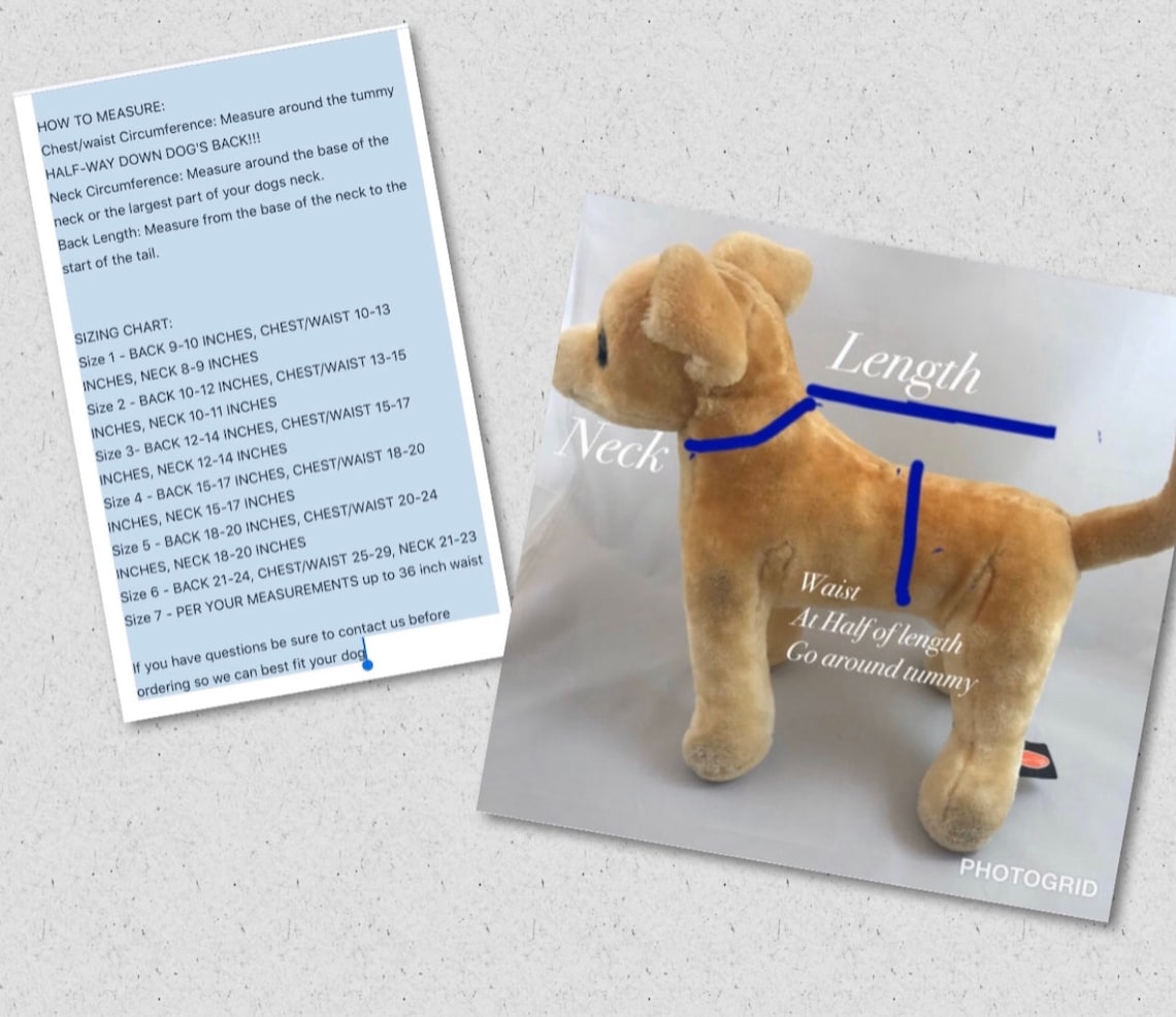 Beast Halloween Dog Costume the Beast Dog Costume Inspired by Etsy