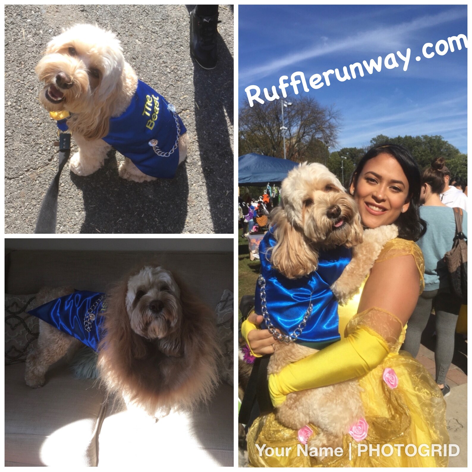 Beast Halloween Dog Costume the Beast Dog Costume Inspired by Etsy